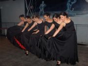 grupo flamenco de vegaviana 